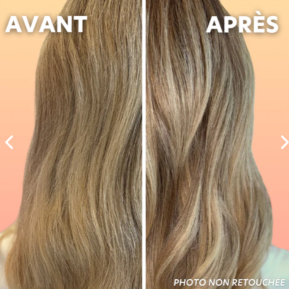 Shampoing Cheveux Secs, Abimés, Cassants - 1000ml