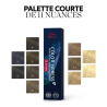Coloration COLOR XPRESS 10' CHRONO - 10/ Blond Très Très Clair - 60ml