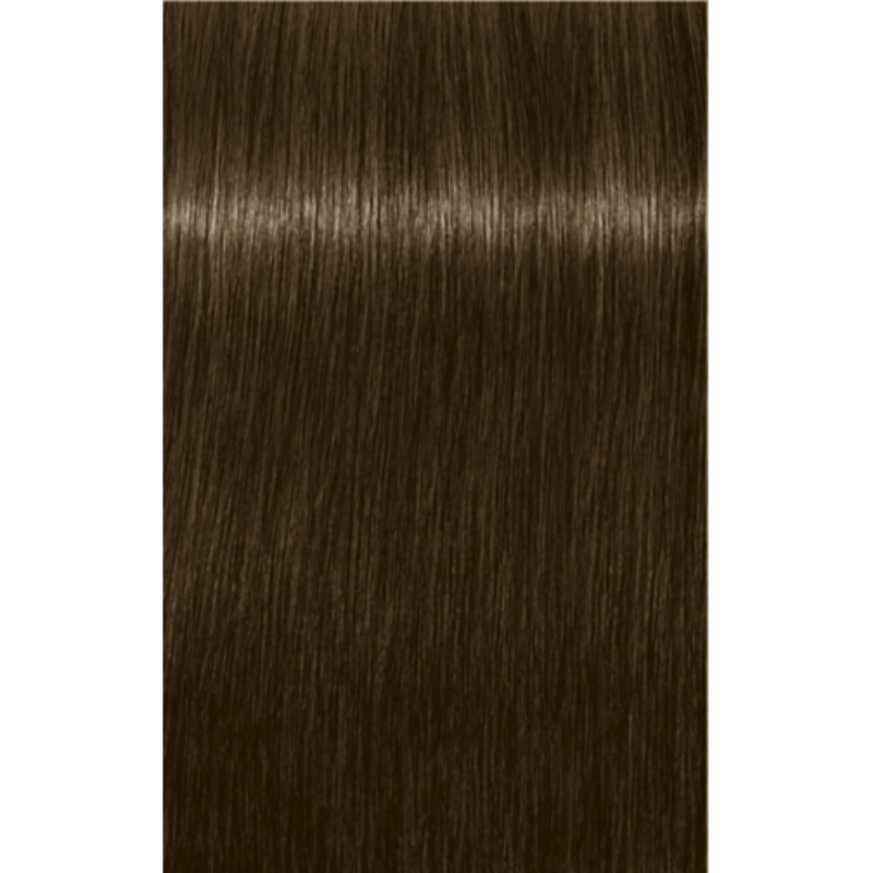 Schwarzkopf-coloration-igora-royal-6-16-blond-foncé-cendré-marron-shop-my-coif