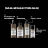 Shampoing Réparateur ABSOLUT REPAIR MOLECULAR Série Expert 300ml