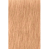 Schwarzkopf-coloration-igora-royal-highlifts-10-14-shop-my-coif